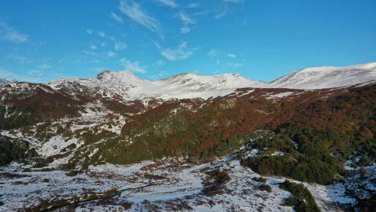 Investigadores de los Laboratorios de Dendrocronologia de la Universidad Austral de Chile y de la Universidad de Magallanes, vinculados al CHIC, trabajaron en los bosques de Puerto Williams.