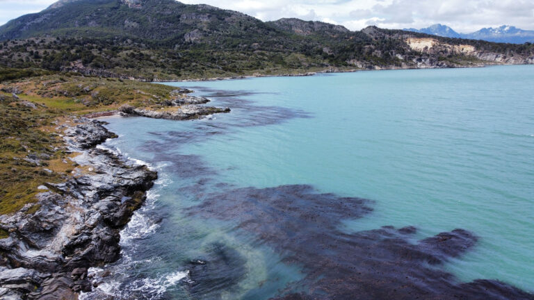 reserva-de-la-biosfera-cabo-de-hornos-chic